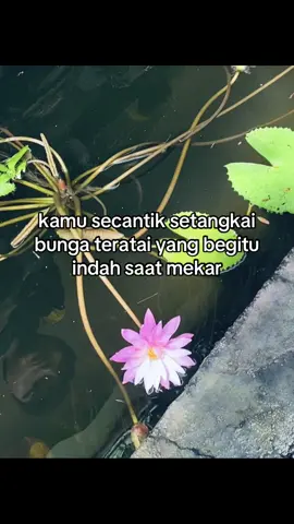 🫵🏻🥰#fyp #masukberanda #foryou #bungateratai #bungaterate #pshtpusatmadiun 