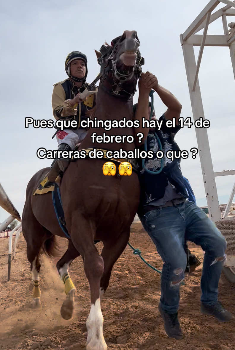 #cuadrapicos #cuadrapicos🏇 #caballosdecarreras #lacachanillaracetrack #2deoros #amor❤️ #14defebrero 