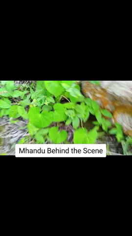 #chitownfilms #zimcelebsofficial #ridhikurasi #mrglenora0 #zimtiktokers🇿🇼🇿🇼🇿🇼🇿🇼🇿🇼🇿🇼🇿🇼 #nashtvzimbabwe #tinashemutarisi#tinashemutarisi