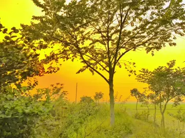 আমার হবেন 🌚❤️‍🩹#rs_raju#foryou #foryoupage #fyp #viral 