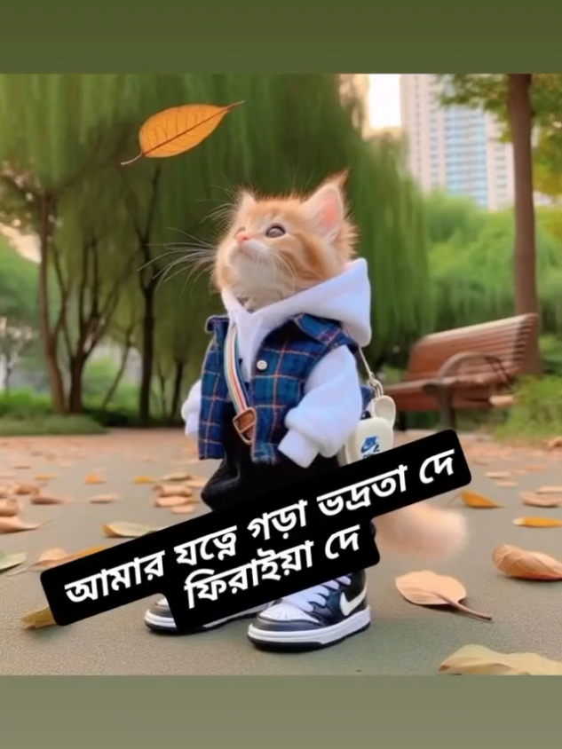 #বিড়ালফানিভিডিও #trending #foryoupage #হাসিরভিডিও😁 #foryou #viral #tiktok #মজার_ভিডিও😜😜 @❤️হাবিব❤️দেওয়ান❤️ @💞💞Anika Islam💞💞 