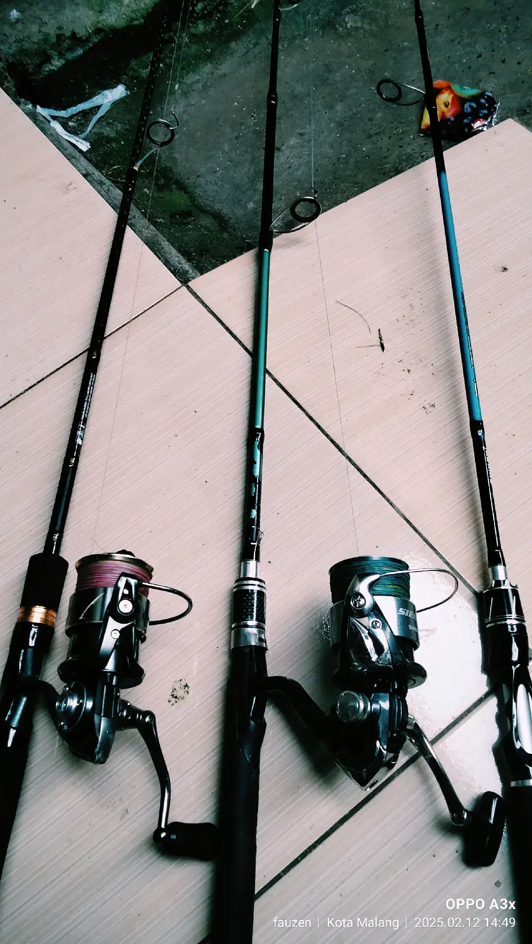 info kolam #daiwafishing #shikariphantom #mancingmania #joranpancing  #cinematicpancing 