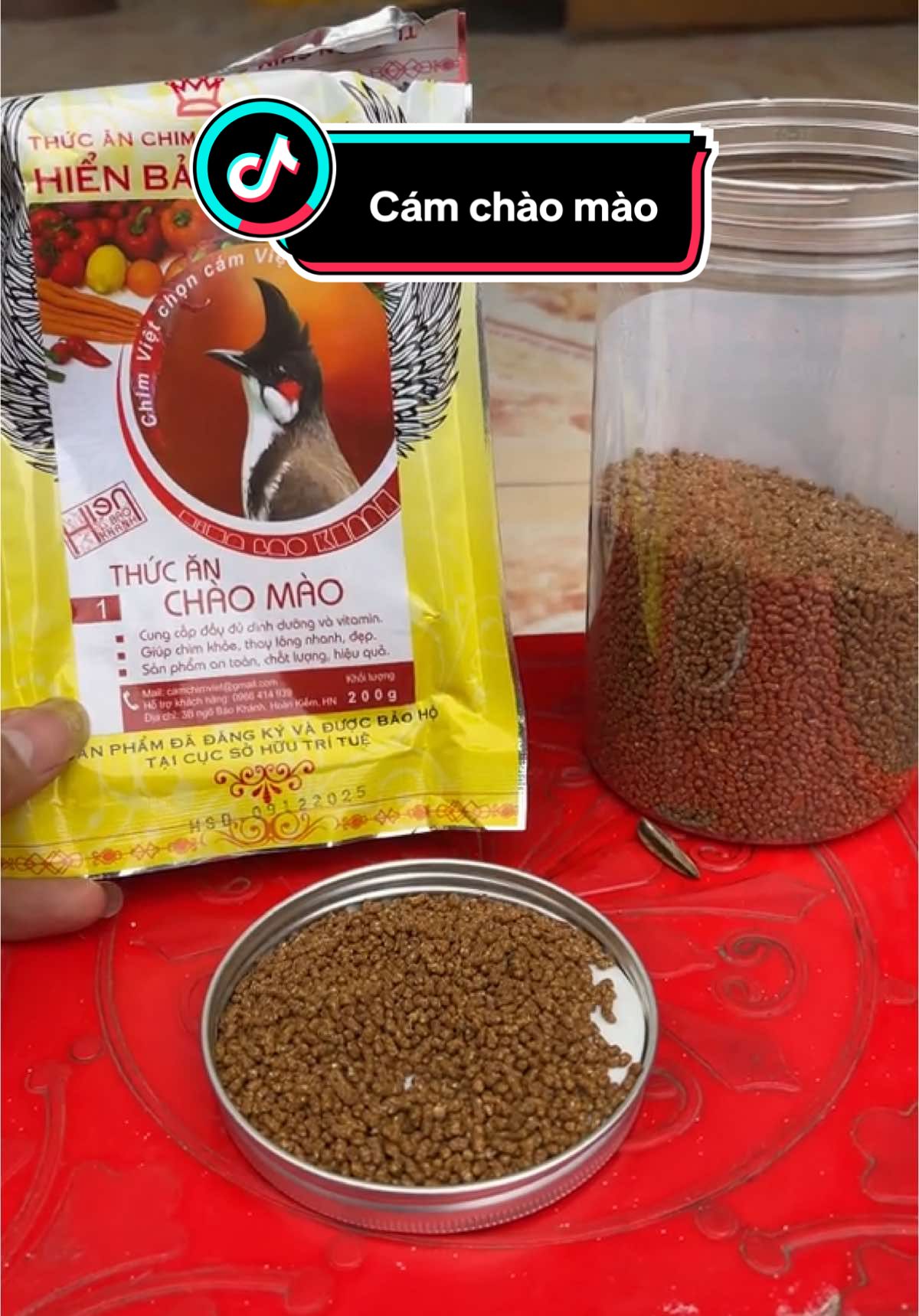 Cám quốc dân luôn giúp cb khoẻ mạnh ổn định #camchaomao #cám #camhienbaokhanh #camchim 
