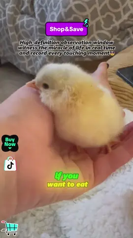 #tiktokshop #shopvideocarnival 
