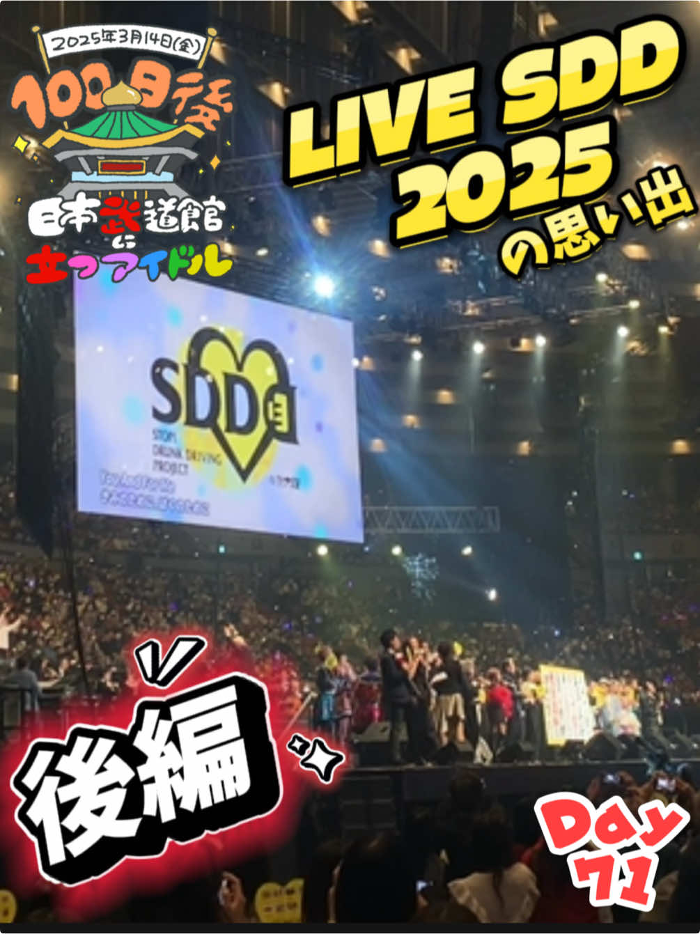 #LIVESDD2025 の思い出💛後編 #パラゴン武道館0314 #パンダドラゴン #パラゴン 