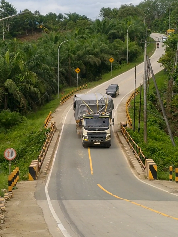 resumo trans🔥 #volvo #hino #lintaskalimantan #fyp #kalselpunya 