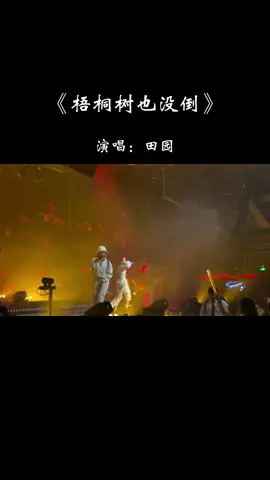 梧桐树也没倒 你的生活以后会好，希望你会遇见爱你的人，陪你慢慢变老…#歌单种草计划