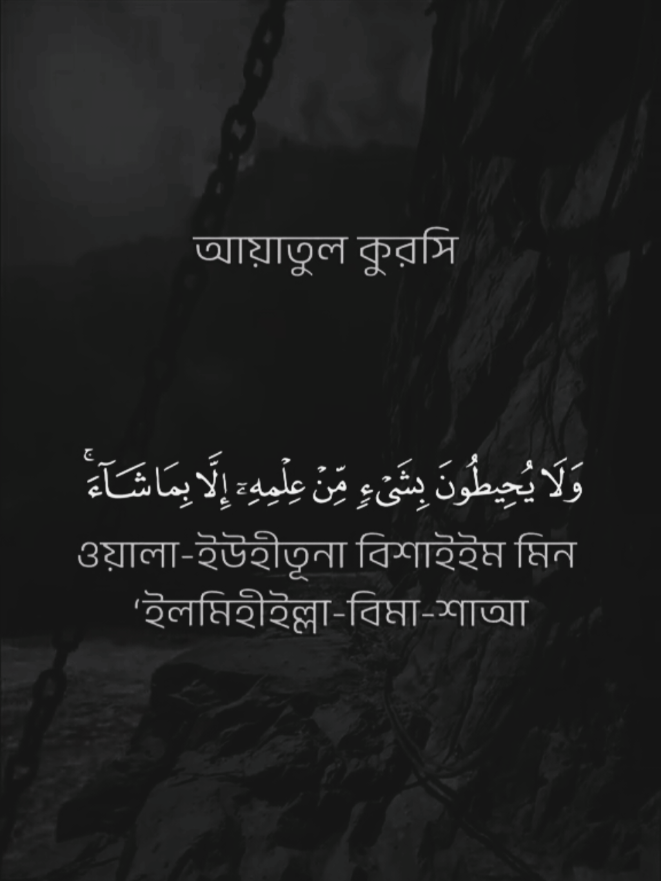 #আয়াতুল_কুরসি #কুরআন_তেলাওয়াত #ভালো_লাগলে_সবাই_লাইক_কমেন্ট_শিয়ার_ #foryou #fypシ #tiktok #PepsiKickOffShow #foryoupageofficially #trending #حلاوة_اللقاء #viral 