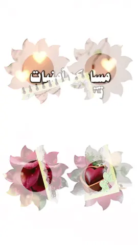 #مسسسسسسسسسسسساء_الورداااات🌹✨🌹 