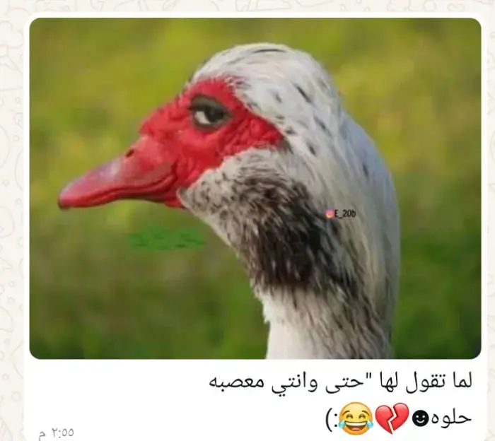 اضحك من قلبك 🤣🤣🤣