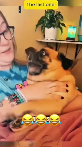 The last one. #🐾🐕‍🦺🐈😂❤️ #voiceover #talkinganimals #talkingdog #talkingcat #animalsoftiktok #dogsoftiktok #catoftiktok #funnyanimals #funnypets #viralvideo #foryou 