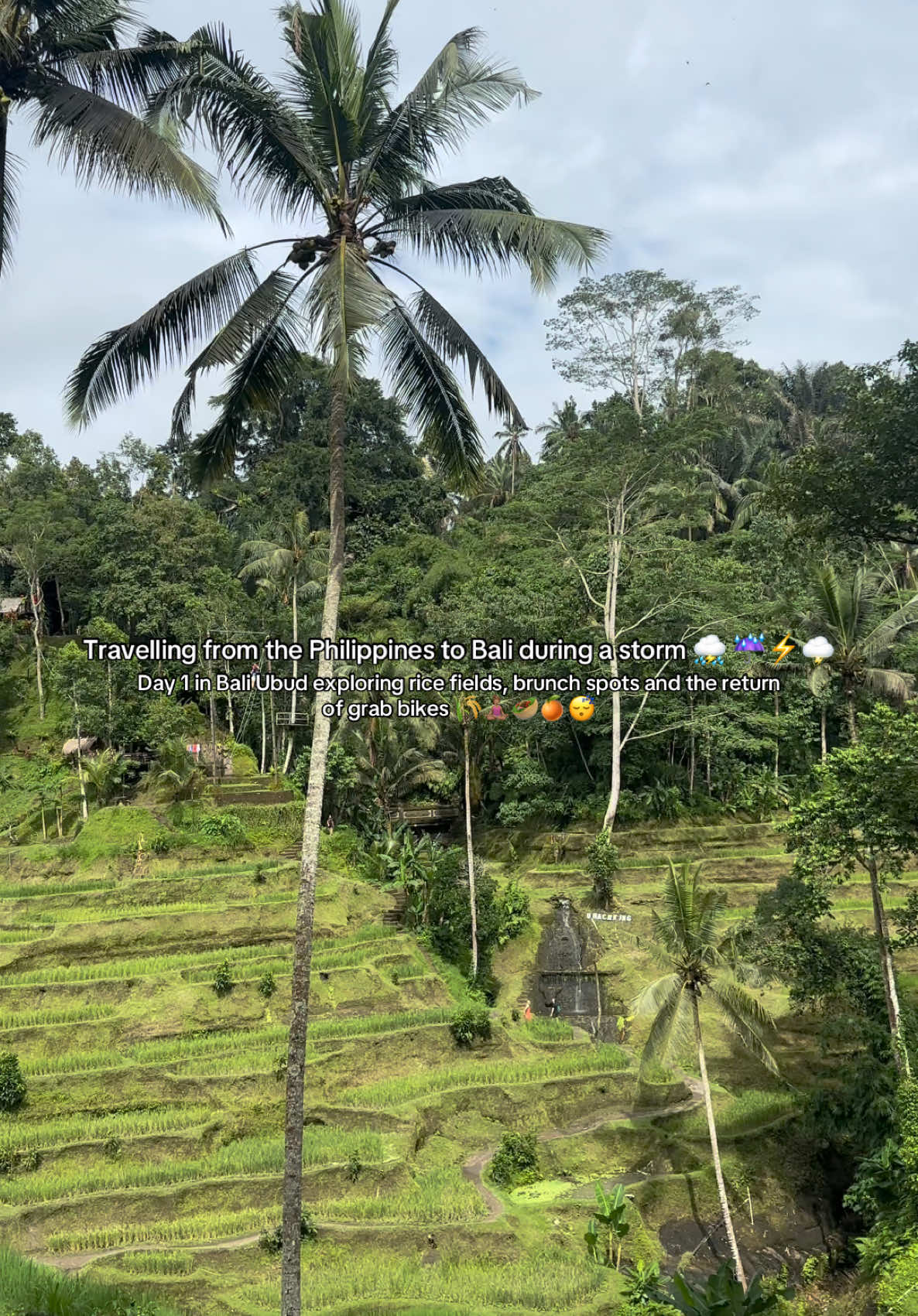 Wild travel day from the Philippines to Bali during a crazy storm ⛈️  plus day 1 in Bali exploring Ubud ☔️🌾😋🥙🧘🏽‍♀️🫶🏽🍓🌺🥥 #philippines #travel #traveltiktok #travellife #traveltok #traveling #traveltips #travelbucketlist #travelling #travelvlog #travelblogger #singaporetiktok #bali #balisquad #balinese #ricefields #Foodie #garden #tropical #trees #ecofriendly #eco #jetlag #explore #discover #ubud #science #art #museum #itenary #travelitinerary #mustdo #bucketlist #city #ubudbali #couples #coupletravel #fyp #foru #for #you #page #teamwork #community #communitynewtiktokers #Vlog #vlogging #vlogger #daily #spendthedaywithme #uk #uktravelblogger #uktravel #ukgirl #uktiktok #foryou #forypupage #foryoupage❤️❤️ #food #foodie #sightseeing #worldwonders #cityspot #24hours #crazy #fun #cocktail #bar #asia #asian #asiantiktok #southeastasia #southeastasian #backpacker #backpackers #backpackinglife #backpacking #newinfuencer #influencer #inspo #travelinspo #ubudlife #brunch #brunchideas #thunderstorm #bike #grab #smoothie #brunchubud #plane #traveldiaries 