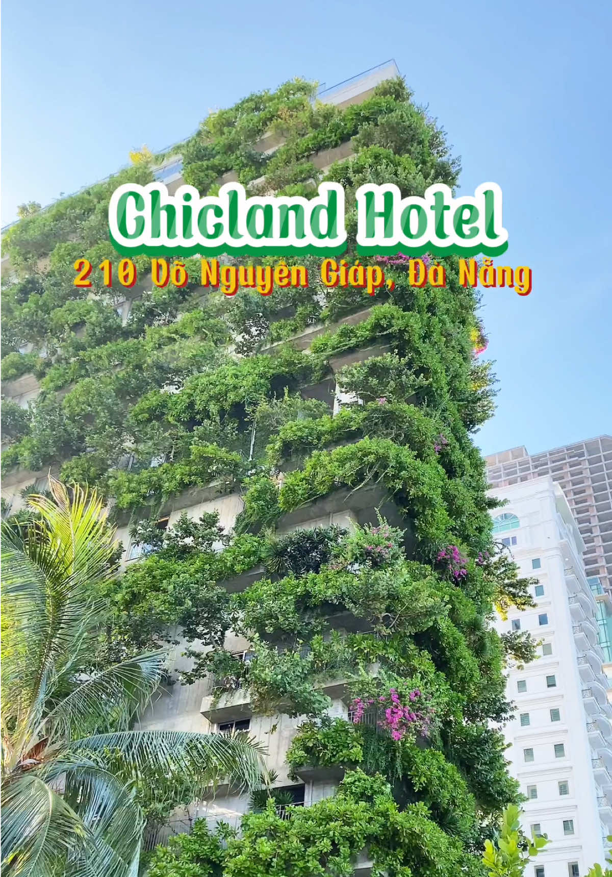 🌿 Giữa lòng thành phố sôi động, Chicland Hotel mở ra một khoảng xanh bình yên để bạn tìm về thư thái. Không gian chan hòa thiên nhiên, ánh sáng dịu dàng và những góc nhỏ đầy cảm hứng - tất cả cùng tạo nên trải nghiệm nghỉ dưỡng độc đáo cho Quý lưu khách. ✨  #chiclandhoteldanang #chiclandhotel #chiclanddanang #chicland #khachsanchicland #danang #khachsandanang #dulichdanang #khachsanviewbien #dulichnghiduong #beachhotel #khachsanxanh #greenhotel #hotelindanang #nccdanang  #CheckinChicland #bienmykhe  #vivudanang #danang #EcoChic #GreenOasis 