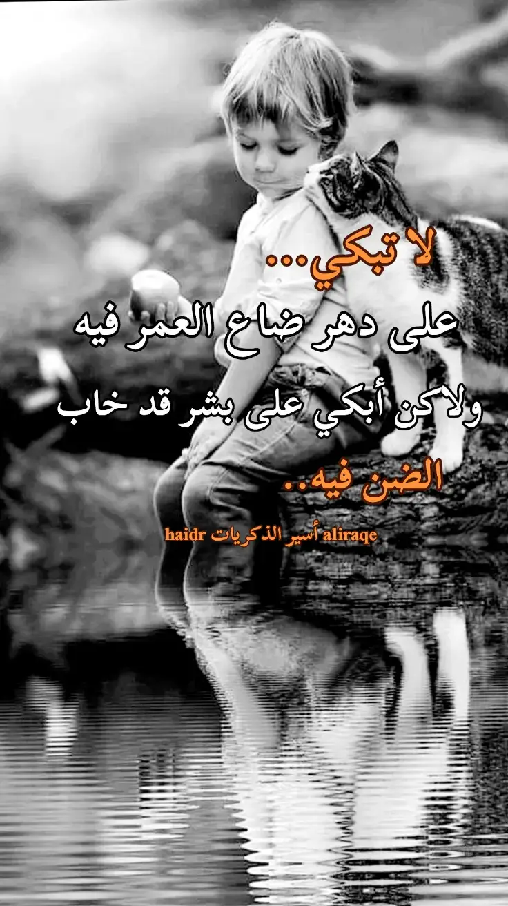 لا تبكي على  الدهر ضاع العمر فيه 