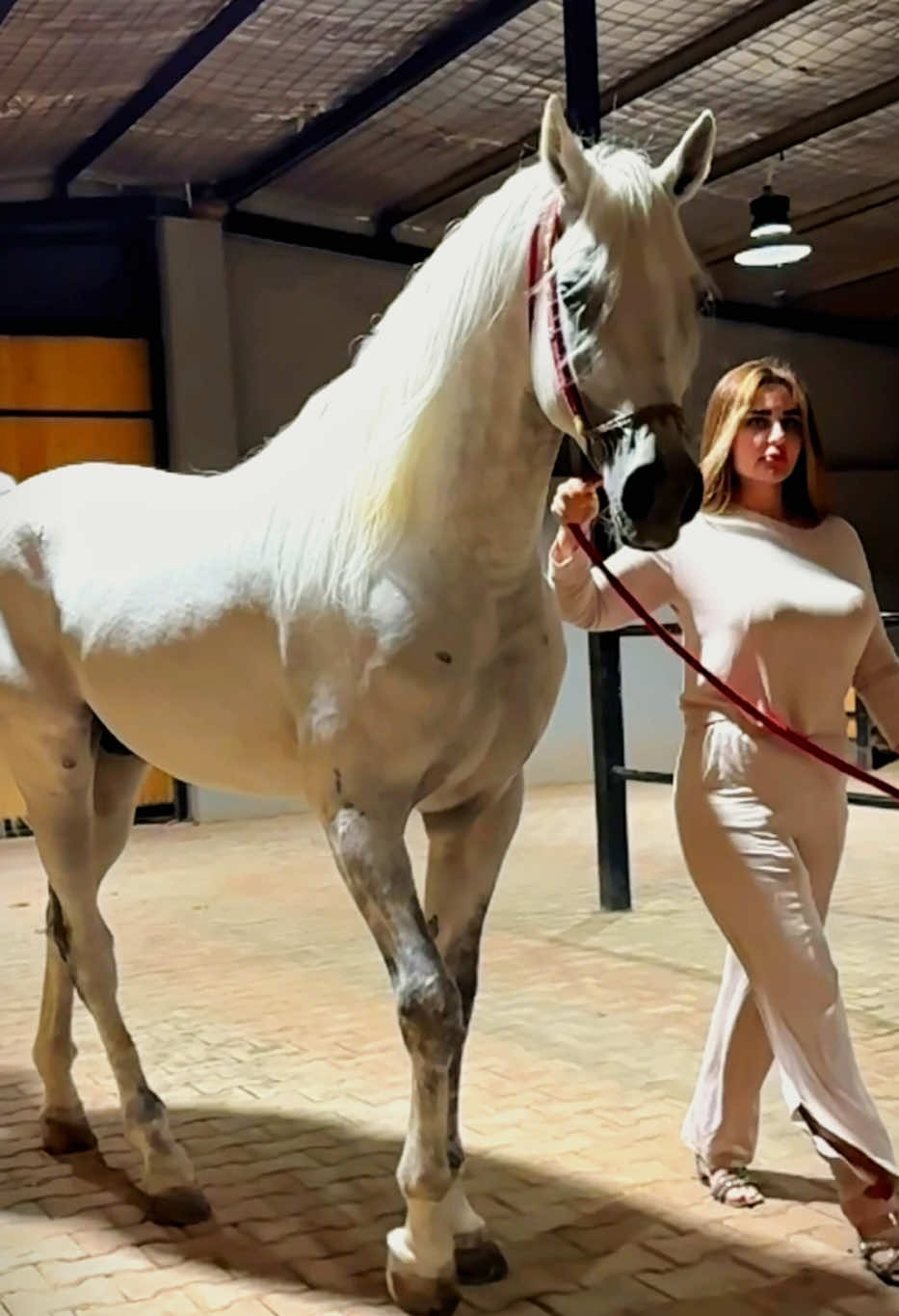 #foruyou #foryoupage #خيل_وخياله🐎 #فارسة_العراق #خيل_عربي_اصيل🐎🐎 #خياله🐎 #خيل_عربي_اصيل♥️🐎 #خيل_وخياله🐎🖤ماشاءالله_اللهم_بارك🧿♥️ #خيل #خياله🐎هيبات #lforyoupageofficiall #foryouu #خيول_جمال🤎🐎 #فرسان #حصان #حصان_عربي #خيالة #خيول_عربيه #خيل_وخياله🐎🖤ماشاءالله #فارس #kurdstan🇹🇯️ #kurdstan_hawler_slemany_kirkuk_dhok #كوردستان #كوردستان_العراق_اربيل_دهوك_زاخۆ #شعب_الصيني_ماله_حل😂😂 