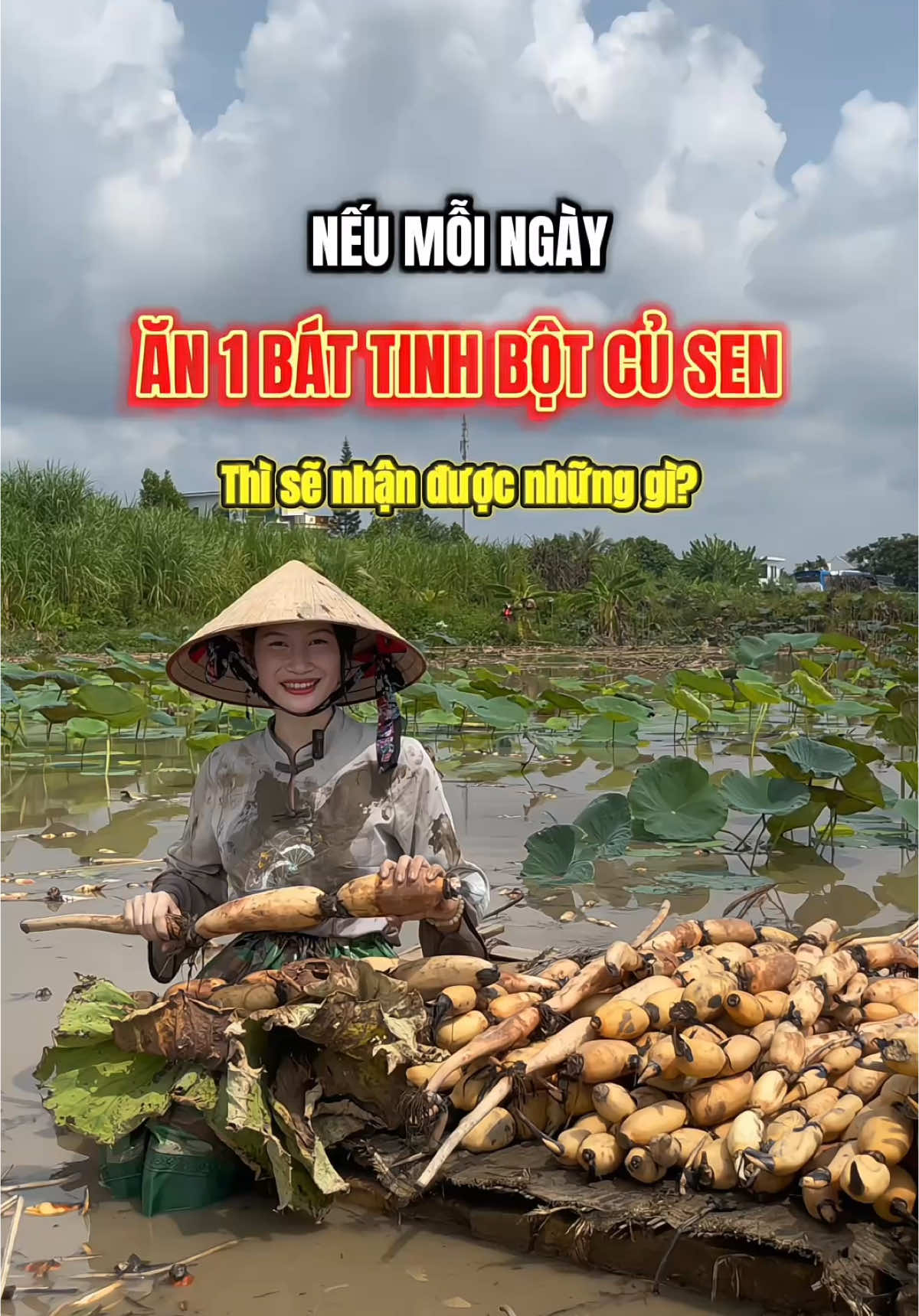 Nếu mỗi ngày bạn ăn 1 bát Tinh Bột Củ Sen sẽ nhận lại được những gì? Tinh bột Củ Sen được ví như 1 bài thuốc quý. Nhắc tới sen người ta nghĩ tới món tinh hoa của trời đất. Mà ở cây Sen thì củ sen là phần bổ dưỡng và quý nhất giúp Bổ phế, hỗ trợ giảm ho, tiêu đờm, làm dịu họng, hỗ trợ tán hàn, ấm phổi, Ăn ngon, ngủ an, cân bằng huyết áp, Giải nhiệt, thải đ gan, hỗ trợ tiêu hóa. Ngoài ra còn được xem là 1 loại collagen tự nhiên, Bổ khí huyết, điều hòa nội tiết, dưỡng nhan, dưỡng ấm tử cung khi đến kỳ cho chị em phụ nữ nữa ạ 🥰🌿