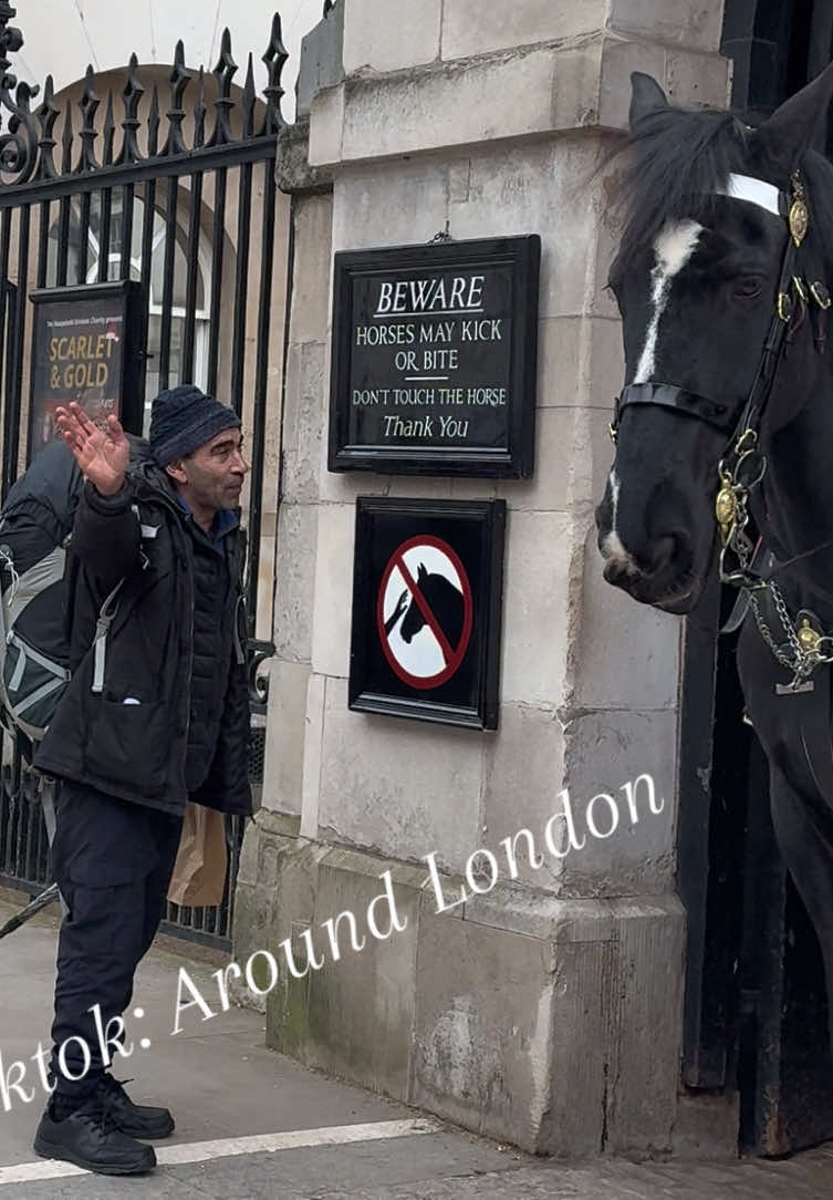 Disrespectful man got told off by the King’s Guard when he tried to TOUCH the King’s Horse. #tiktok #fyp 