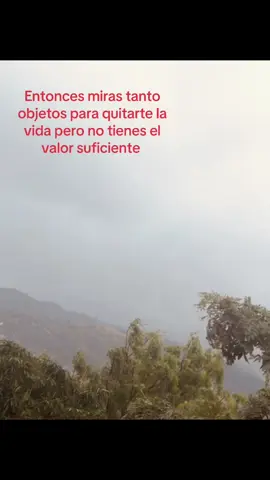 #textorojo y analizar cuántas personas mueren te dejan analizando mucho 