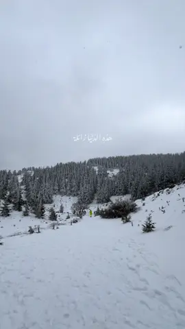 وتنقضي… . . . #fypシ゚viral #foryoupage #foryoupage #winter #vairal #explore 