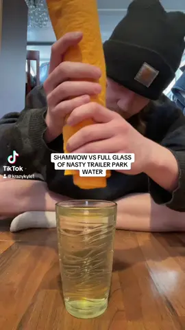 #fypシ #shamwow 