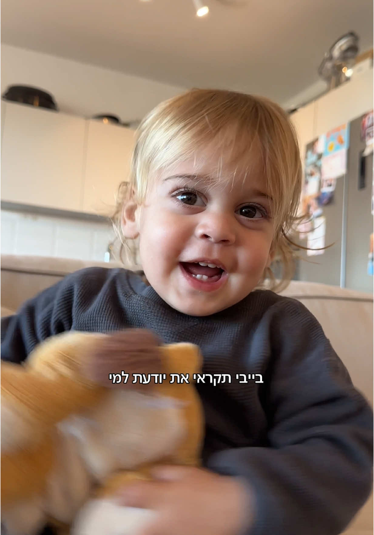 סהר בן לולו ומלך האריות בקרוב בקאמרי 🦁 כרטיסים בביו