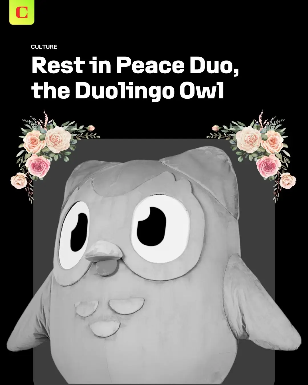 It was just the night of Super Bowl 59 when the Duolingo mascot, Duo, cheerfully mocked the (metaphoric) death of rapper Drake during Kendrick Lamar's halftime performance, posting a crude animation with the caption, 