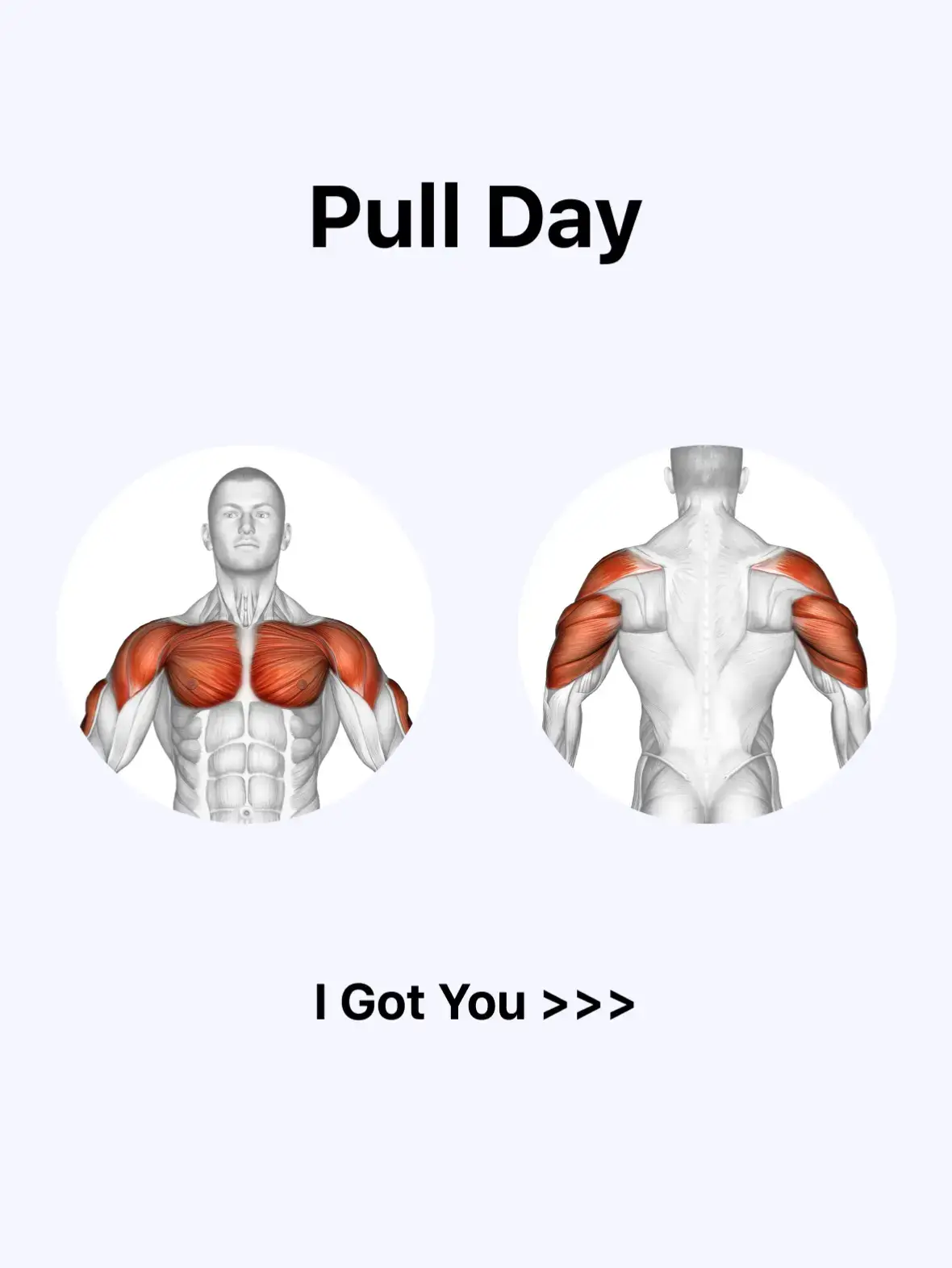 1️⃣ Close-Grip Lat Pulldown - 3 x 10-15 2️⃣ Chest-Supported Row - 3 x 8-10 3️⃣ Close-Grip Cable Row - 2 x 15-20 4️⃣ Reverse Cable Flye - 3 x 15-20 5️⃣ Shrug - 4 x 15-20 6️⃣ EZ-Bar Curl - 3 x 5-10 7️⃣ Machine Preacher Curl - 3 x 15-20 #PullDay #BackDay #Biceps #PerfectWorkout #LyftaApp #Strength #Liftoff #jeffnippard #sciencebasedlifting