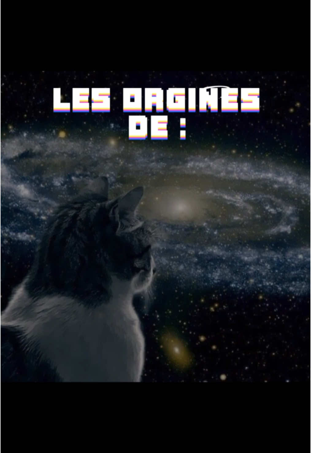 les origines de : OUPI GOUPI partie 4 🐱 #dankmemes #chat #catmemes #brainrot #humour #lakaka 