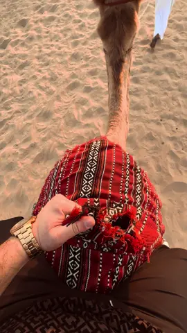 Camel Ride in Dubai Deserts 🐫🏜️ #camelride #camel #desertsafari #camelsafari #dubai #uae #dubai🇦🇪 #foryou #foryoupage #explore #explorepgae✨ 