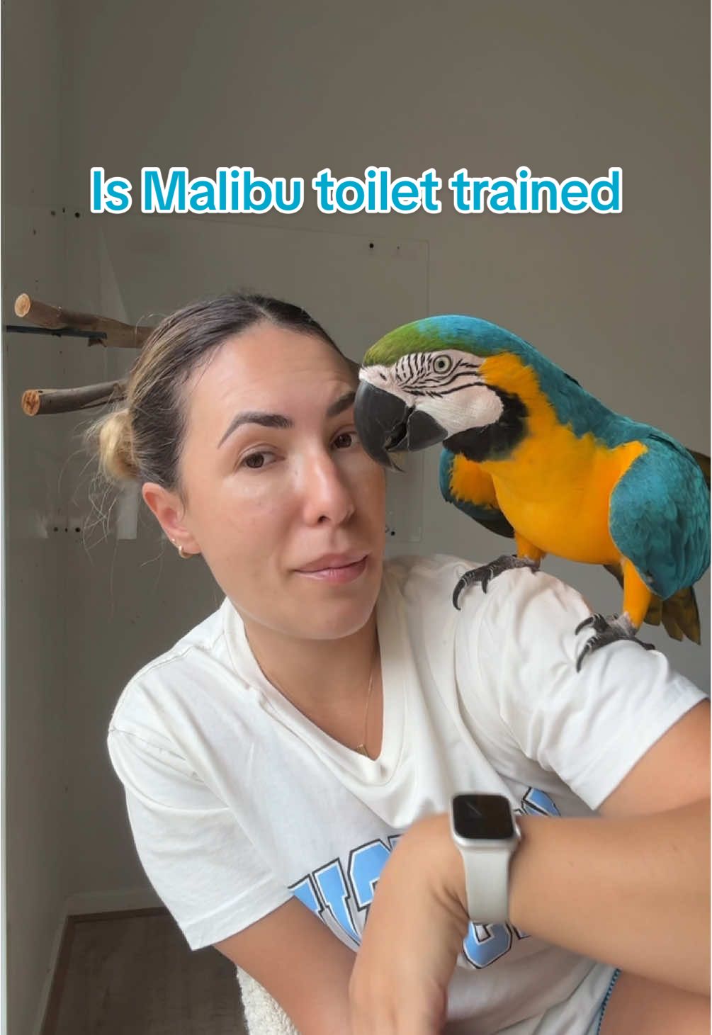 Replying to @hayley_bayley_ Is Malibu toilet trained? #malibumacaw #macawsoftiktok #blueandgoldmacaw #pottytrain 