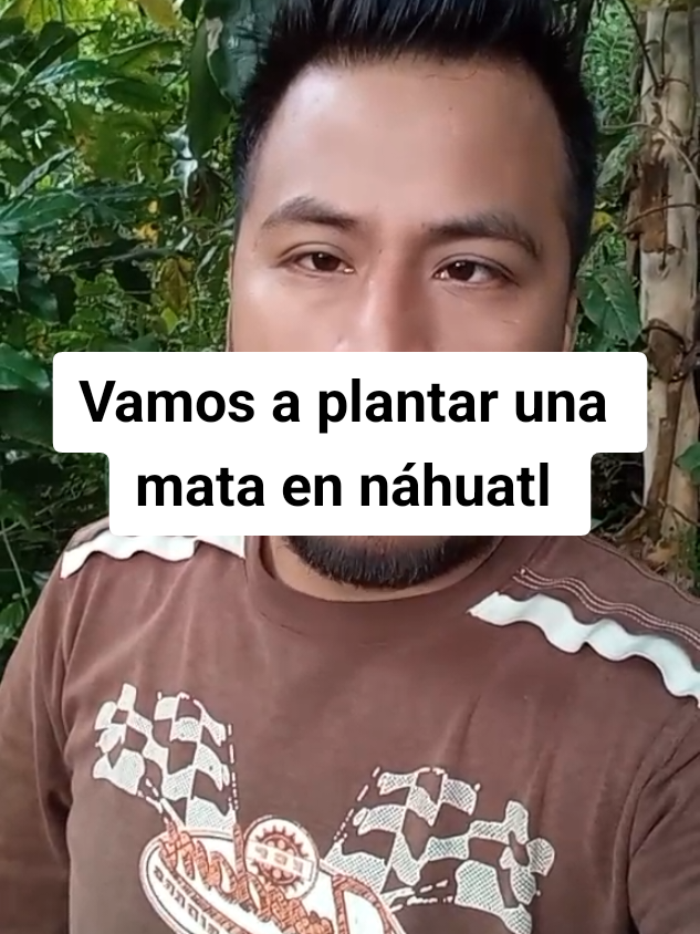 Respuesta a @jonnygonzles4 Vamos a plantar una mata en náhuatl 