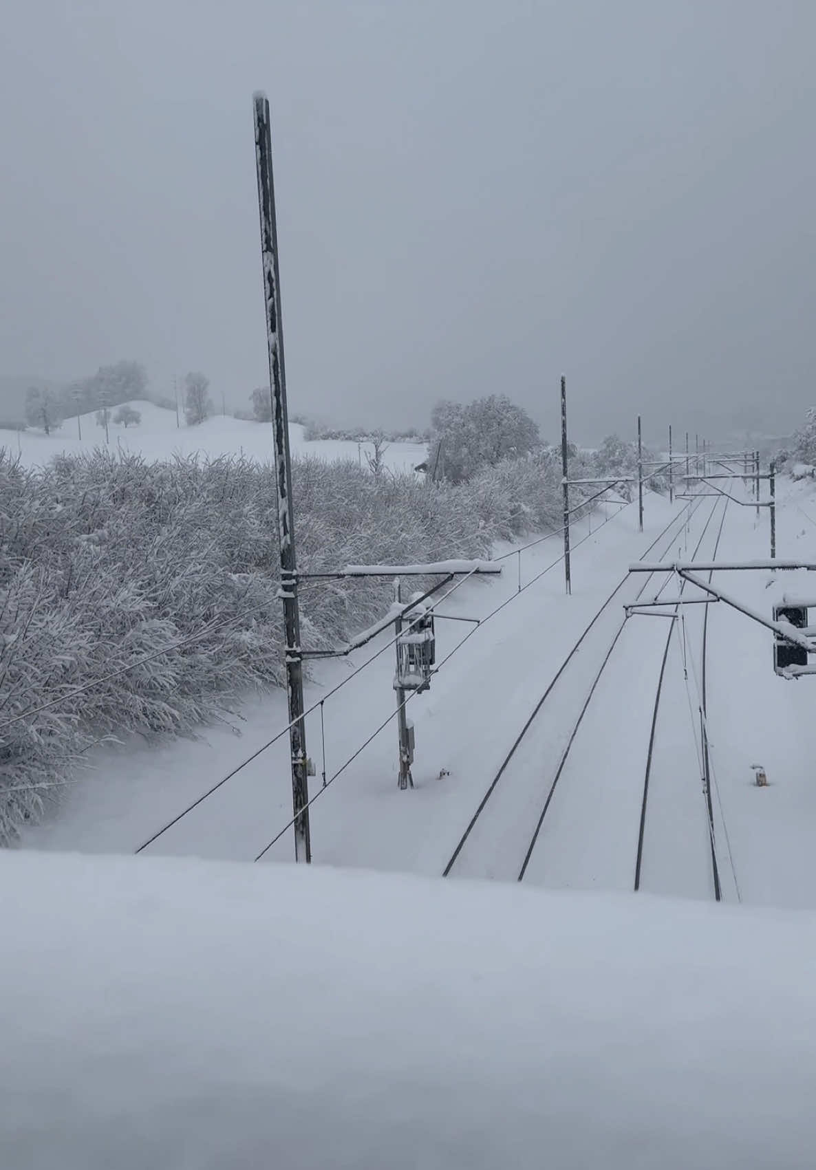 #CapCut #fyp #snow #neve #schnee #vita #virale 