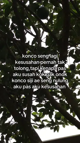 dari sekian banyak teman ada satu yang gak pernah aku lupakan 😇😇 #povstories #jawapride #fypage 