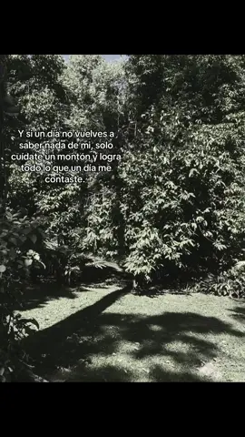 #CapCut #frases #paratiiiiiiiiiiiiiiiiiiiiiiiiiiiiiii #videoviral #viral_video #fotoanimada #frasessad #tristeza 
