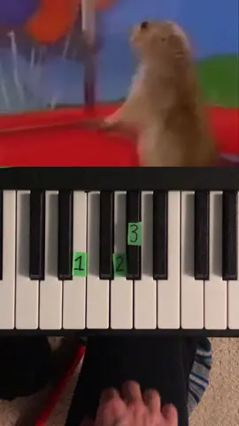 Dramatic chipmunk meme piano tutorial #fyp #pianotutorial #chipmunk #meme 