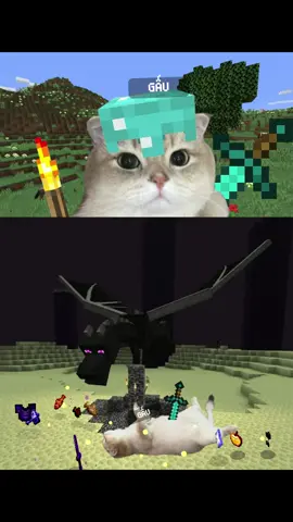 NO 😭 #likehim #Minecraft #cat 