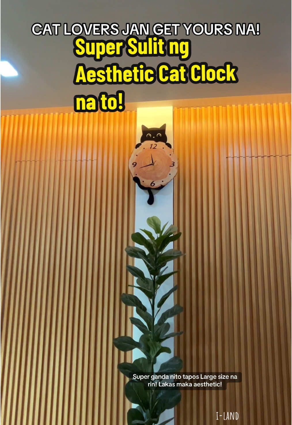 Highly Recommended Cat Clock Recommended Clock Wall Clack Black Cat Clock Large Size Clock Aesthetic Clock Wall Clock Minimalist Clock #f #fyp #foryou #foryoupage #fy #fypシ゚viral #fypage #fyppppppppppppppppppppppp #trending #viral #bestseller #clock #wallclock #aestheticclock #catclock #minimalistclock #Home #homedecor #catlover #gift #giftideas 