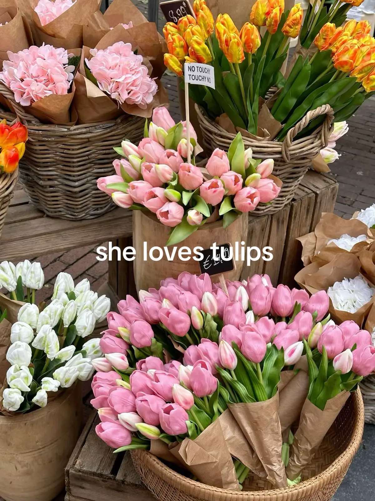 🌷🌷🌷 #tulips #fyp #flowers #pinterest #pink #giftideas #giftsforher !