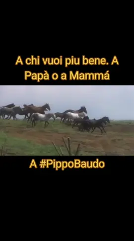 #Squallor e vogliamo bene a #PippoBaudo come suggerisce Capo di Bomba #fyp #foryou #foryoupage #viral #trending #explorepage #tiktokviral #tiktoktrending #movieclips #film #cinema #movietok #filmitaliani #italianmovies #filmtrash #filmitaliano #cinemaitaliano #filmcultitaliani #italiantrash #italianscenes #scenafilmatica #filmretro #trash  #viral #trending