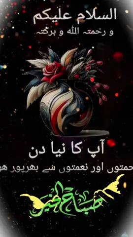 #raheelaali5 #fyp 