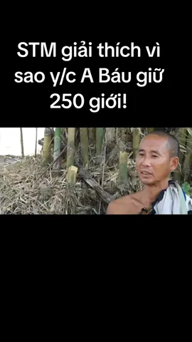 sư Minh Tuệ giải thích vụ A Báu..#doanvanbau #tuecon #yeukinhsuthichminhtue #thichminhtue 
