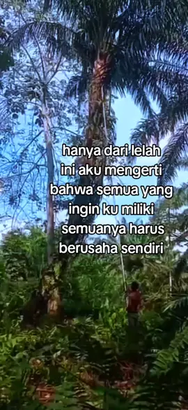 tetap bersyukur  #fyp#sawitindonesia 