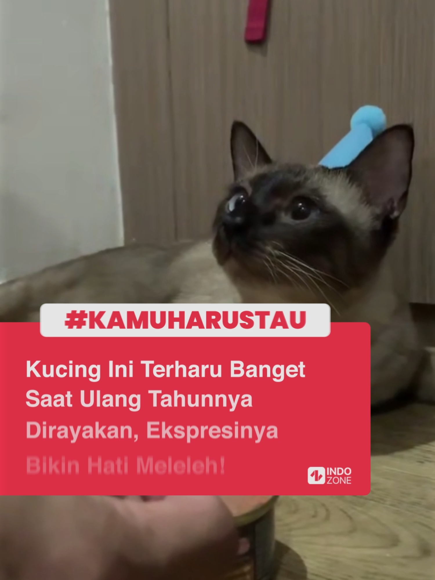 Seekor kucing bernama Milo baru-baru ini bikin netizen gemas sekaligus terharu karena ekspresi wajahnya saat merayakan hari spesialnya.   Dalam sebuah video yang diunggah di akun TikTok _ellersxc, terlihat Milo tengah duduk manis di depan sebuah kue ulang tahun mungil. Pemiliknya yang sayang banget sama kucing ini, menyalakan lilin dan merayakan ulang tahun Milo layaknya manusia.   Tapi yang bikin hati semua orang meleleh adalah ekspresi wajah Milo. Matanya yang bundar sempurna terlihat berbinar, seolah nggak percaya kalau ulang tahunnya dirayakan.  Gak cuma pemiliknya yang terharu, netizen yang melihat video kucing ulang tahun ini pun langsung banjir komentar. Banyak yang merasa Milo benar-benar mengerti kalau dirinya sedang dirayakan.   Video: TikTok/_ellersxc [Baca berita dan informasi menarik lainnya hanya di www.indozone.id]