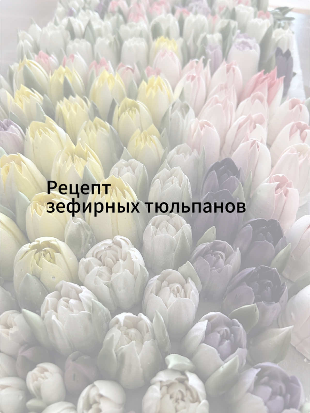 Сохраняйте рецепт зефира для тюльпанов для небольшого миксера🔥 Самое время научиться делать зефирные тюльпаны, чтобы успеть к 8 марта🌷💕  🌷В дежу миксера: 60 гр белка 50 гр сахара  10 гр ванильного сахара  Лимонная кислота щепотка 🌷В ковш: 200 гр яблочного сока без сахара  160 гр сахара 50 гр инвертного сиропа 6 Гр агар-агара (900) Готовьте с удовольствием! Ну а если хотите быстро научиться делать идеальные зефирные тюльпаны, добро пожаловать на курс «Весенний Арт Зефир», где мы учимся зефирной флористике с нуля🌷 Подробности обучения в Инстаграм Artdesserty. Ссылка в шапке профиля 💕 #зефирныетюльпаны #зефирныетюльпаныобучение #рецептзефирныхтюльпанов #рецептзефира #рецептзефирадлятюльпанов #zefirflowers