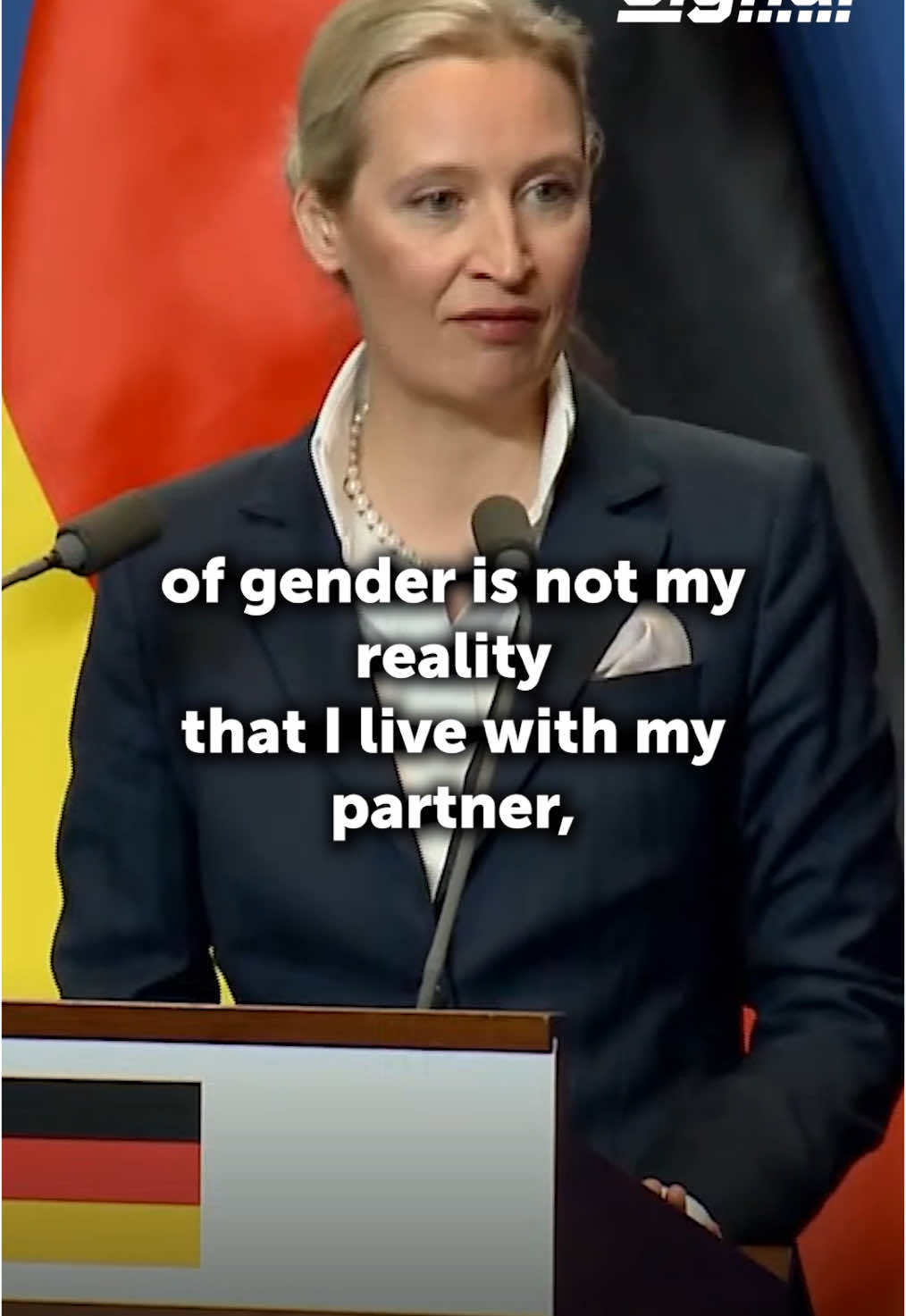 @Alice Weidel following her meeting with Hungarian PM Viktor Orbán in Budapest #germany #elections #hungary #politics #AfD #videoviral #videonews #fyq #news #europe #foryou 