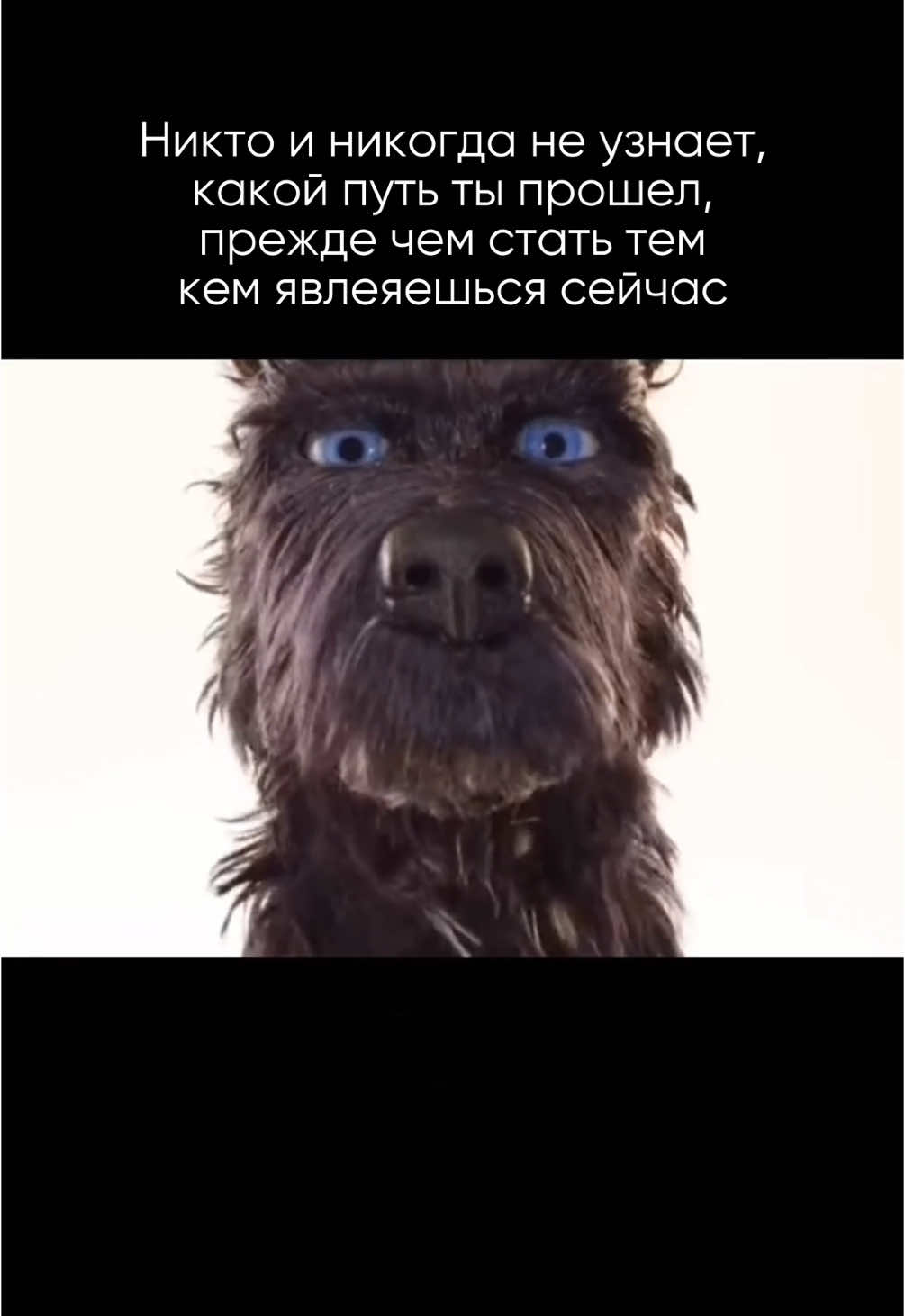 Мультфильм - Остров собак