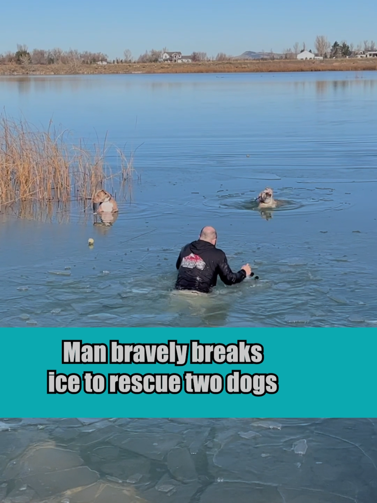 A man rushes through freezing-cold water to rescue his two dogs that fell through the ice. Don't try this at home. Licensed by @viralhog, filmed by Shayna W