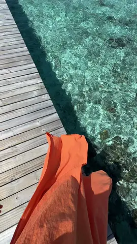 The purest turquoise 🩵 @KIHAA Maldives Island Resort #maldives #maldivestiktok #maldivesvacation #maldivesislands #maldivesresorts #maldivesdiaries #kihaamaldives #kihaamoments #kihaa 