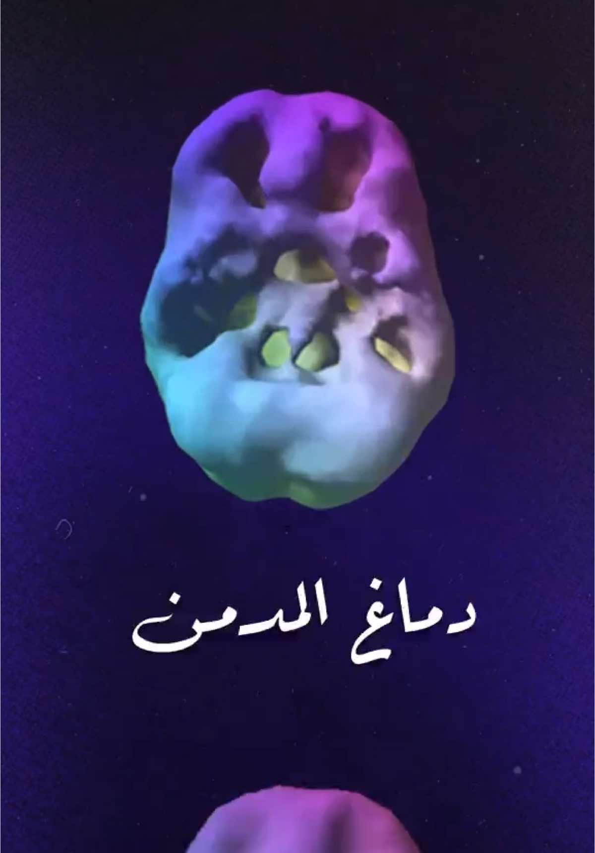 دماغ مدمن   بالمقارنة مع غيره 