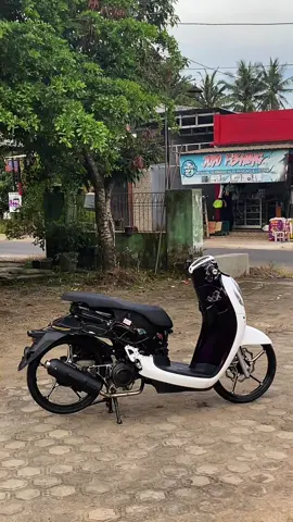 trondol juga enak🗿 #scoopymodifikasi #scoopy #scoopypropperindonesia #scoopyring17 